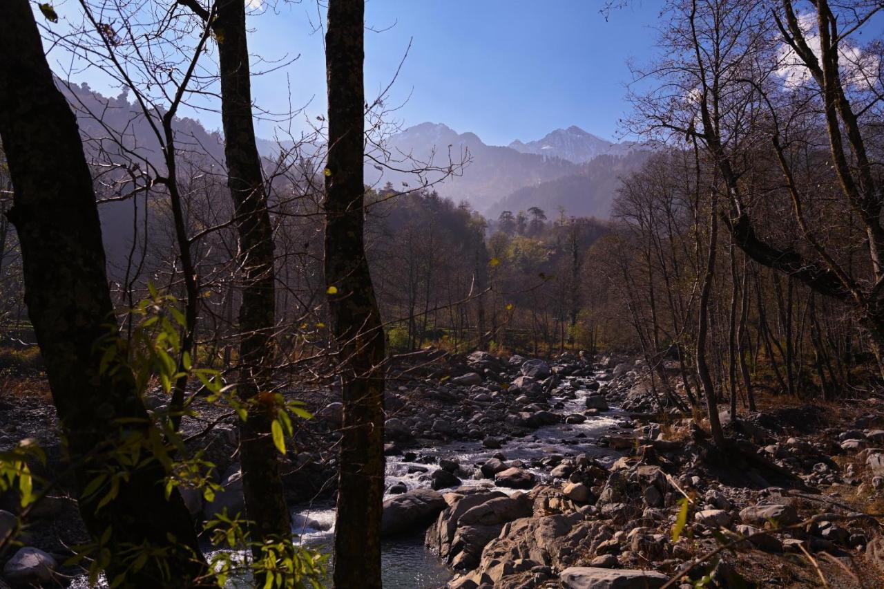Albergue Zostel Dobhi, Manali Nagar  Exterior foto