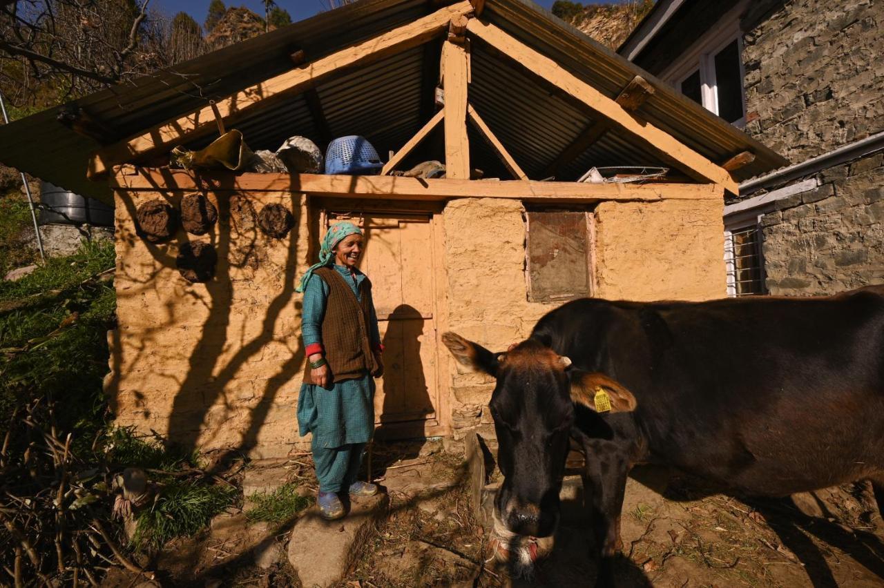 Albergue Zostel Dobhi, Manali Nagar  Exterior foto