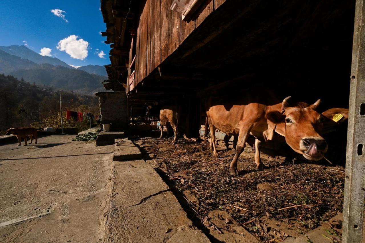Albergue Zostel Dobhi, Manali Nagar  Exterior foto