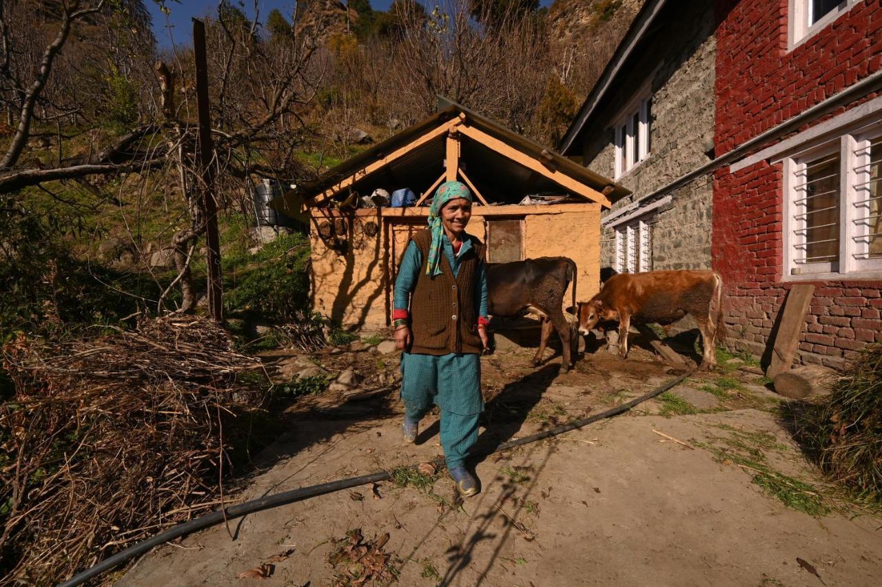 Albergue Zostel Dobhi, Manali Nagar  Exterior foto