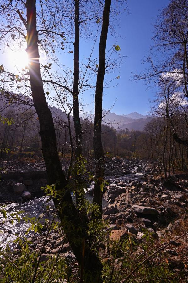 Albergue Zostel Dobhi, Manali Nagar  Exterior foto